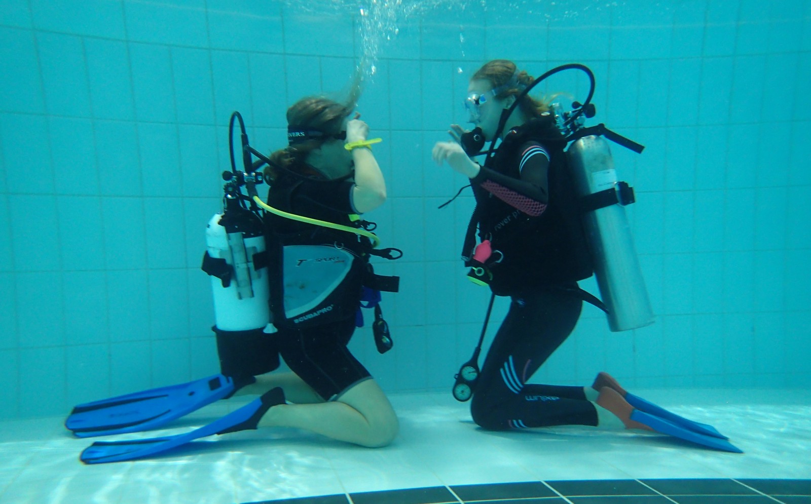 Learn to dive