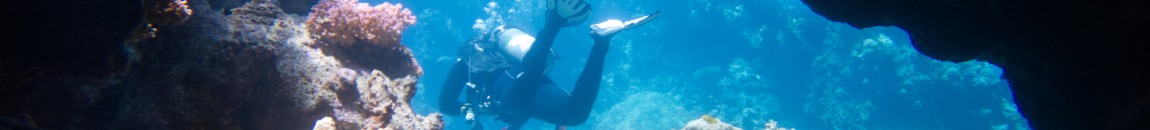 Arden Divers: Your friendly dive club in South Warwickshire