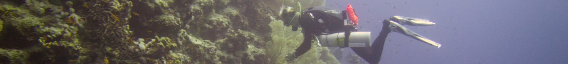 Arden Divers: Your friendly dive club in South Warwickshire